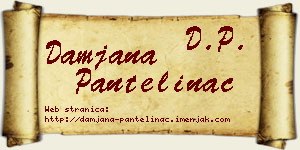 Damjana Pantelinac vizit kartica
